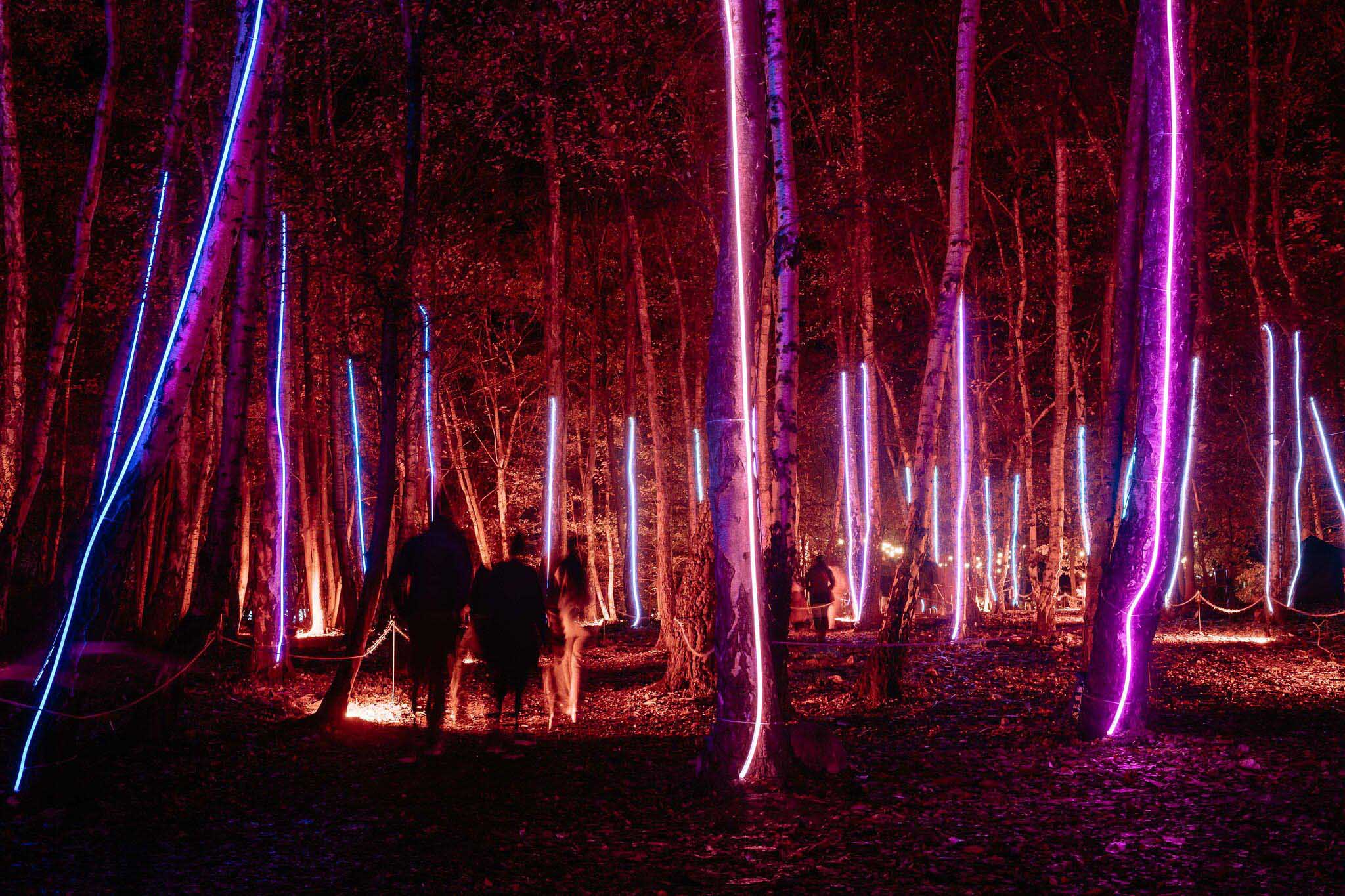 windsor-great-park-illuminated-spectacular-light-trail-returns-for-a